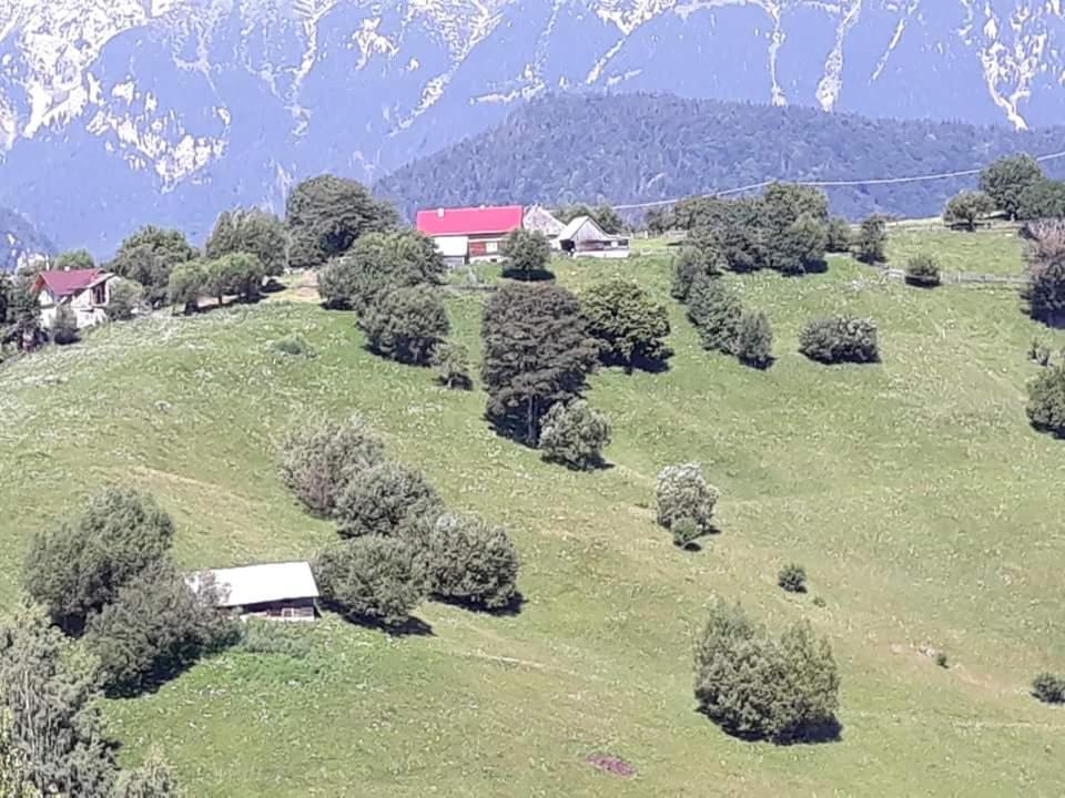 Casa Claudiu Villa Magura  Exterior photo